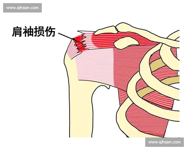 提升长跑耐力的科学训练方法与日常习惯全面指南